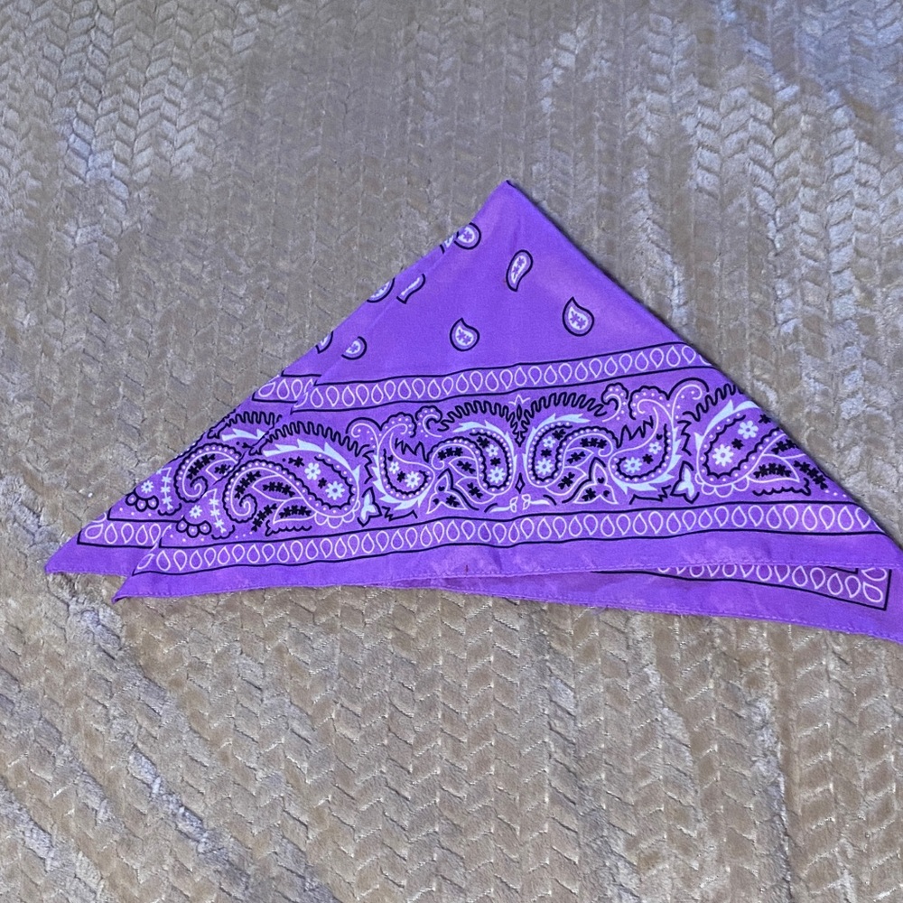 Purple Paisley Bandana